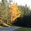 Rensberg 31. Okt. 2015